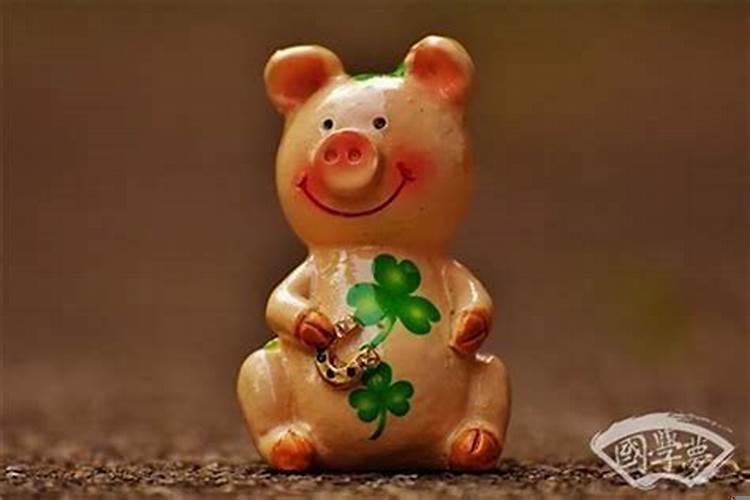 都是属猪的做什么生意才能赚钱