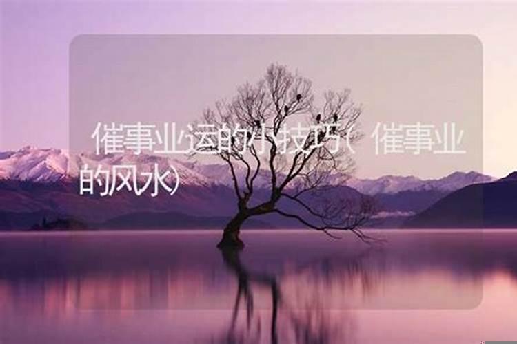 如何让事业顺利的风水