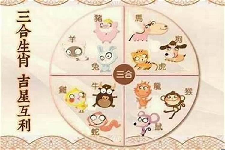 猪兔羊三合是什么寓意