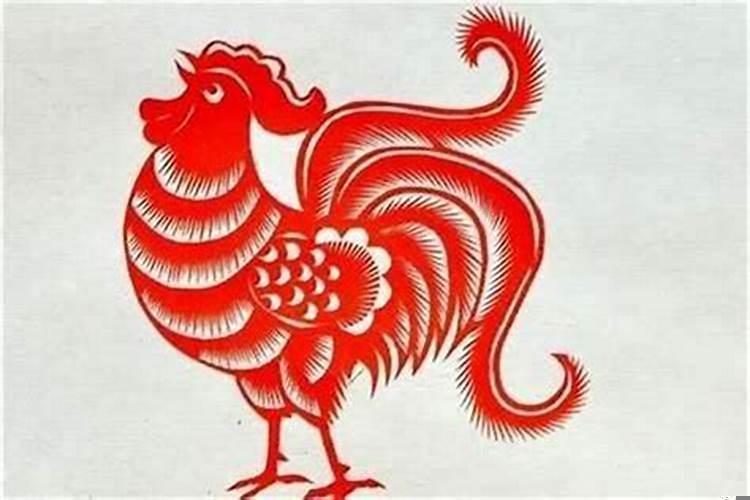 属鸡的什么时候本命年