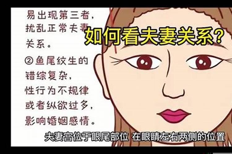夫妻宫可以看出什么
