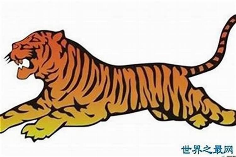 2020年属虎的事业贵人生肖