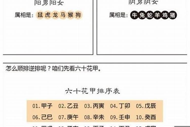 大运流年的排法