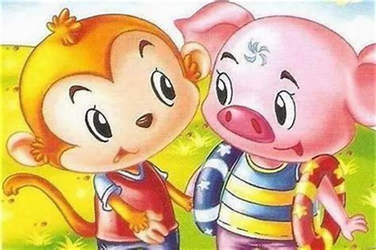 属猪和属猴的婚姻合不合
