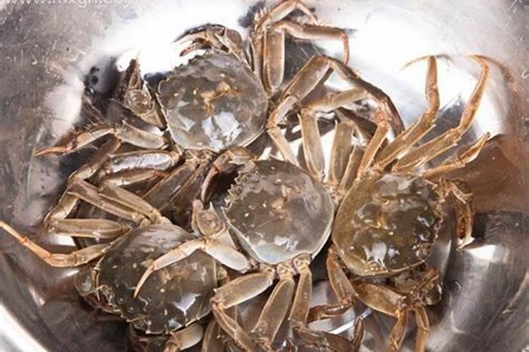 梦到以前的闺蜜啥意思