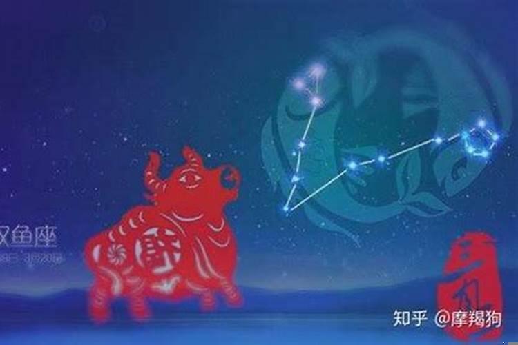 属牛双鱼男的性格特点