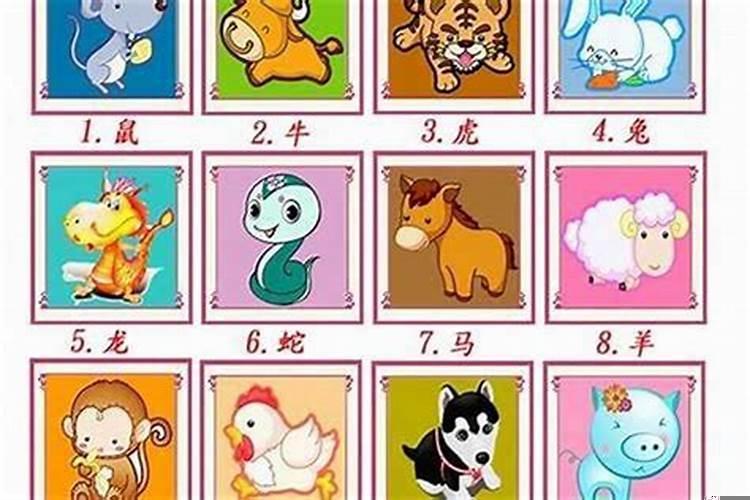 十二生肖哪个败家最多