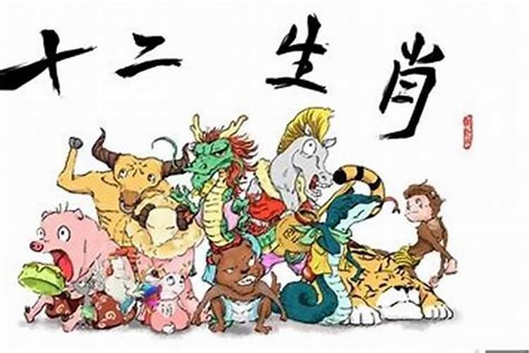 十二生肖哪个败家最多