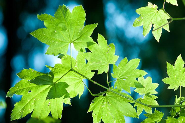 为什么有人财运那么好