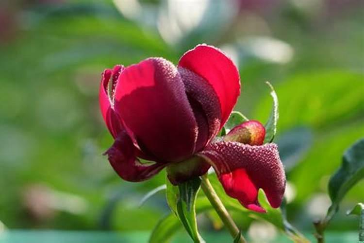 命中相克是怎么回事