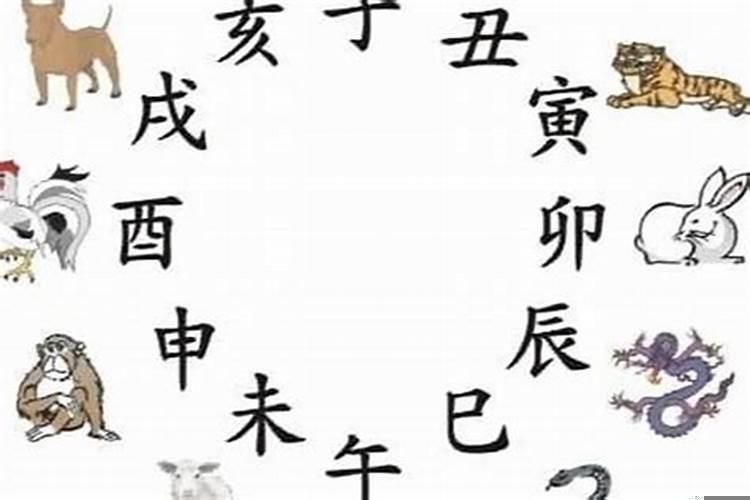 属相月份命运准吗