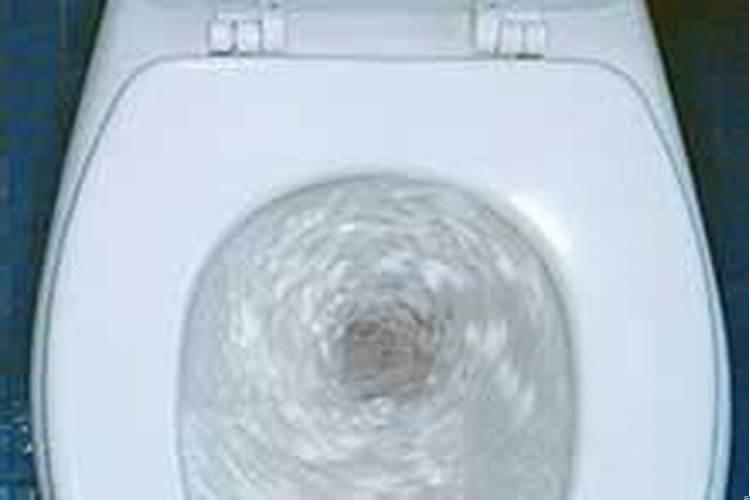 梦到手抓自己的大便是什么意思