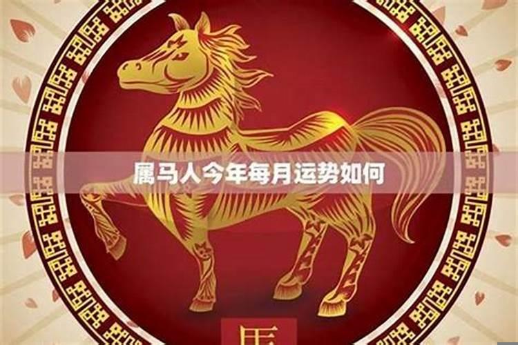 属马的人喜欢谁