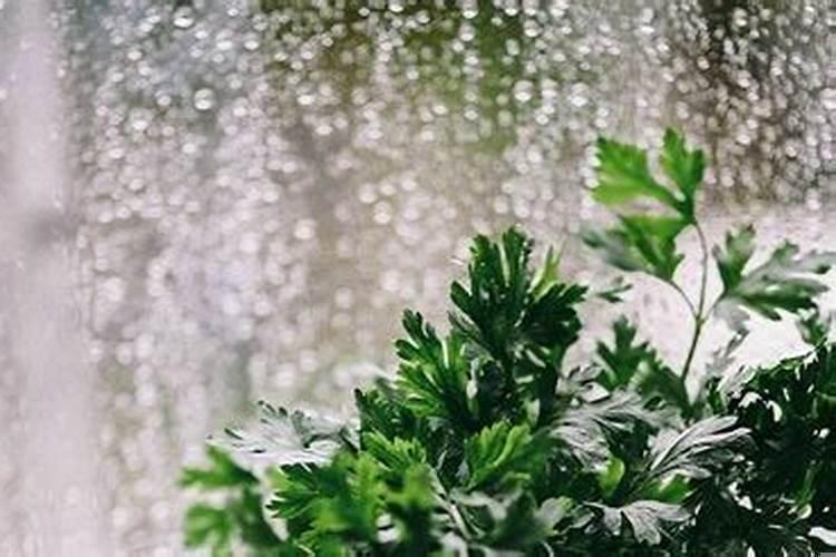 提前上坟好不好