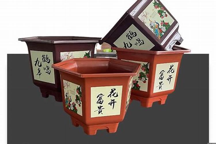 三角梅花用什么花盆好看