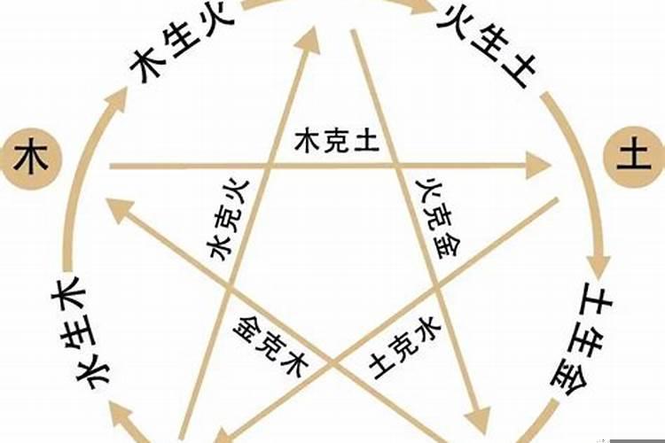 巳时出生2025年运势