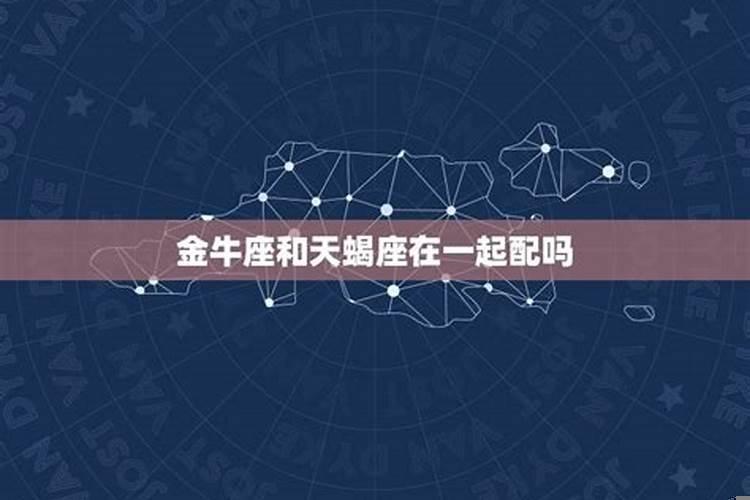 金牛和天蝎不配