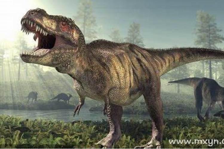 梦里梦见恐龙是什么意思