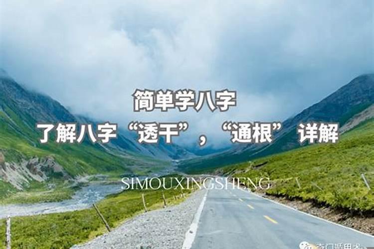 地支透干与不透干区别