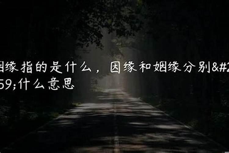 婚姻这种事情看缘分嘛