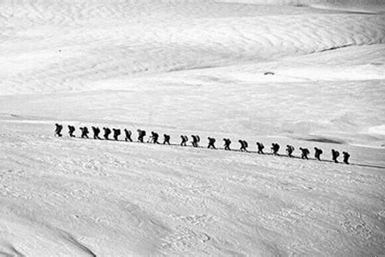 属龙的和属羊的人