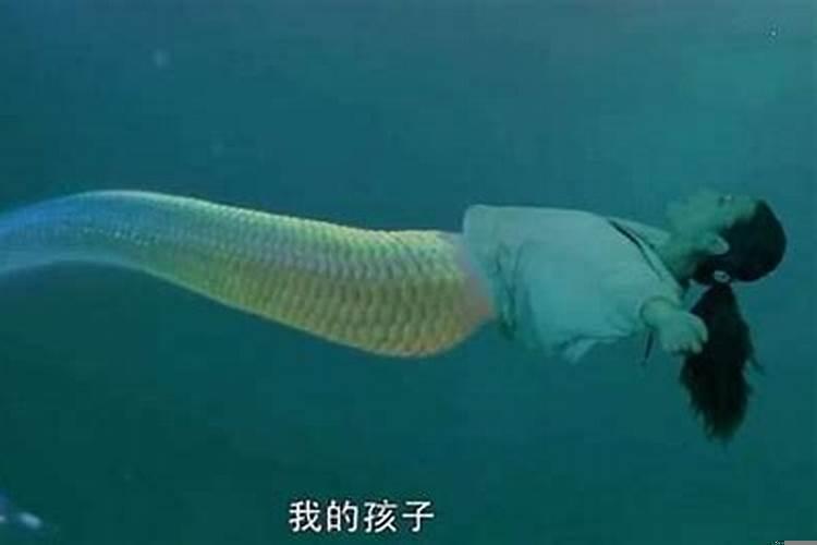梦到我是美人鱼