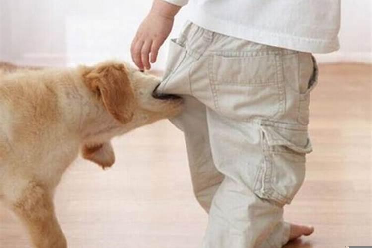 梦见死去的人又活了在棺材里