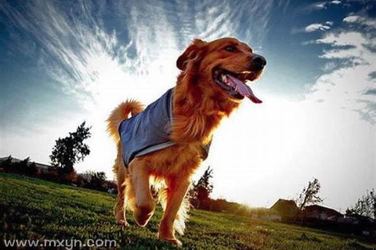 梦见喜欢的人啥意思