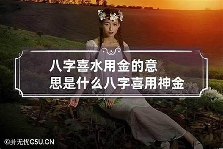 命理金水什么意思