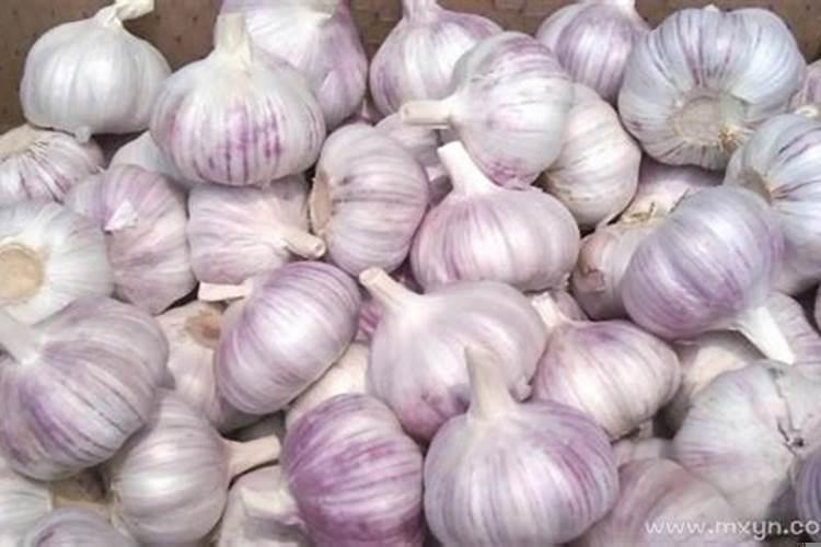 梦见大蒜蒜苗蒜头什么意思