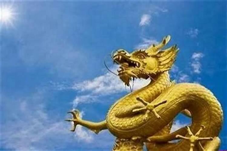 属龙的人适合做什么