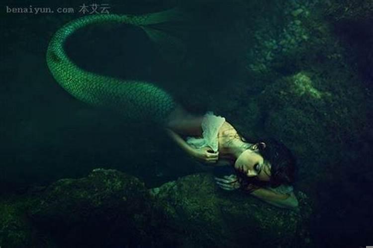 梦到我是美人鱼