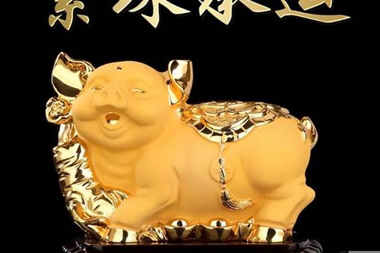 招财旺财的有什么生肖