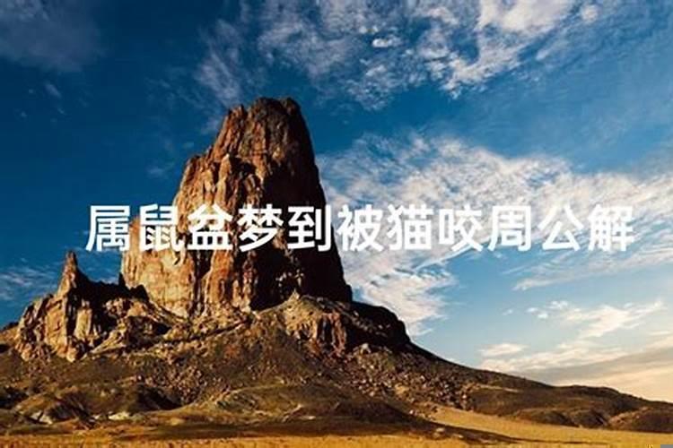 梦见被猫咬了小腿是什么意思