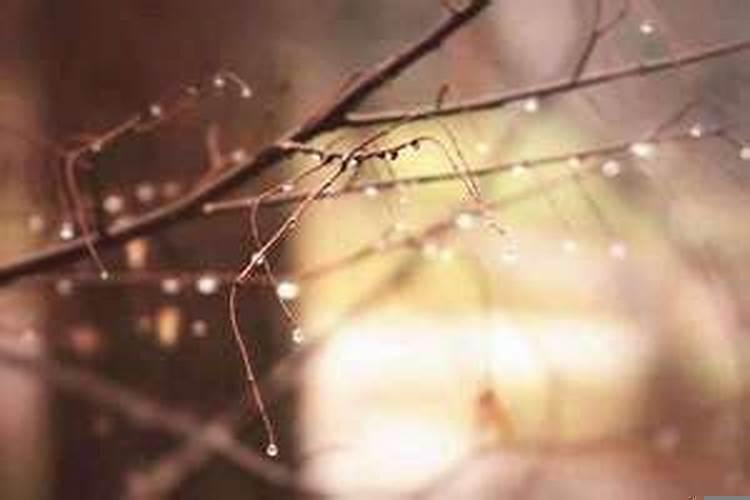 玉兔见龙云端去什么意思