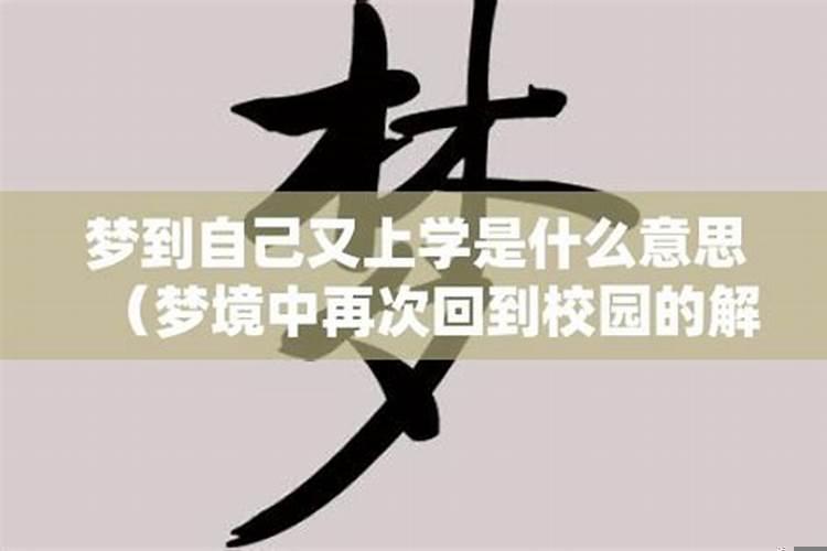 梦到自己回到学生时代