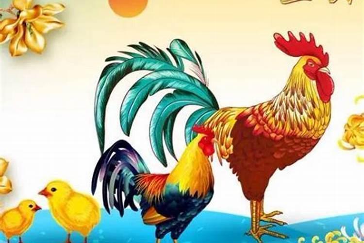 属鸡的人2017年运程