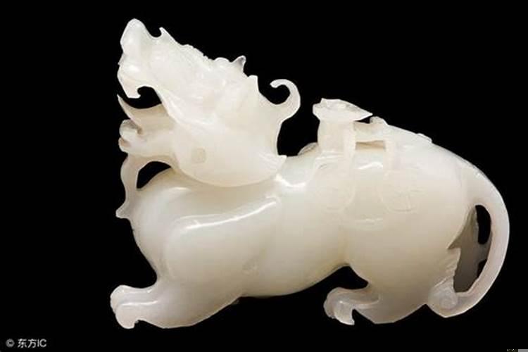 属牛的家中摆什么旺财