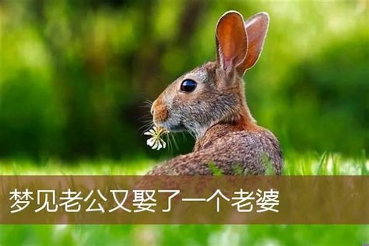 梦见给二哥娶媳妇