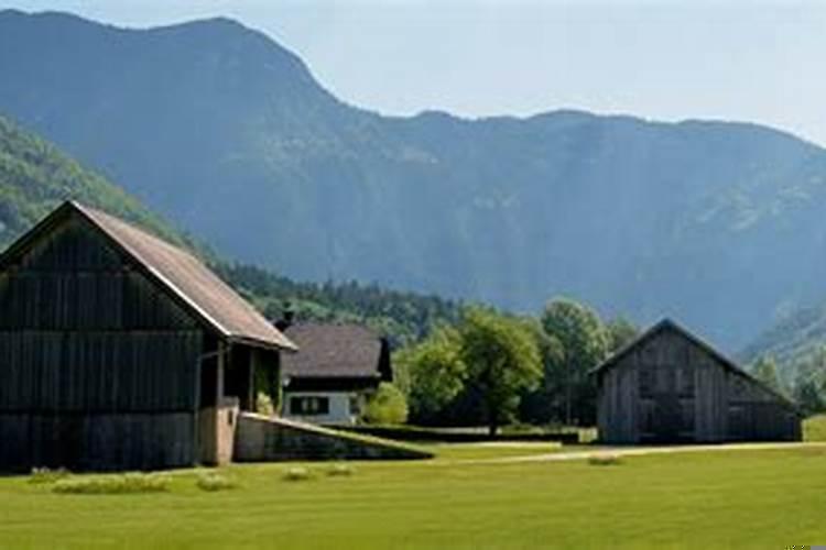 梦见房子很高是什么意思