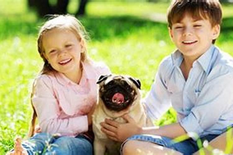 梦到狗是什么寓意