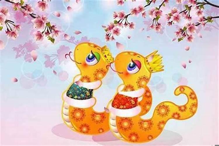 男属马女属蛇能婚配吗