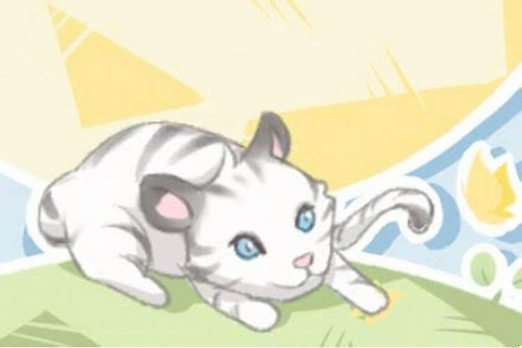 女人梦见很多猫很凶