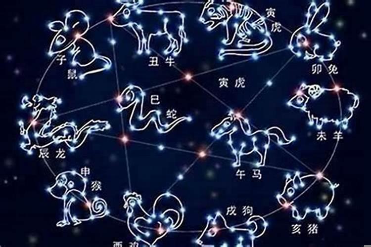 巨蟹座女生长相特点