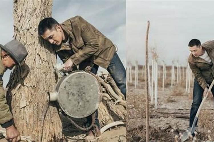 梦见自己在铲沙