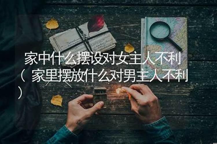 主人属猪的家里适合摆什么