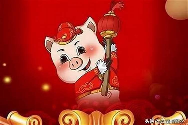 主人属猪的家里适合摆什么