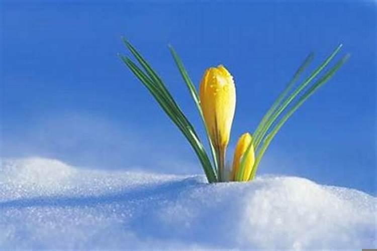 初限福禄无亏什么意思