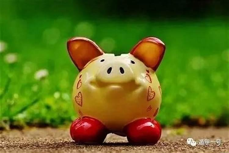 1995年出生属猪男2021年运势