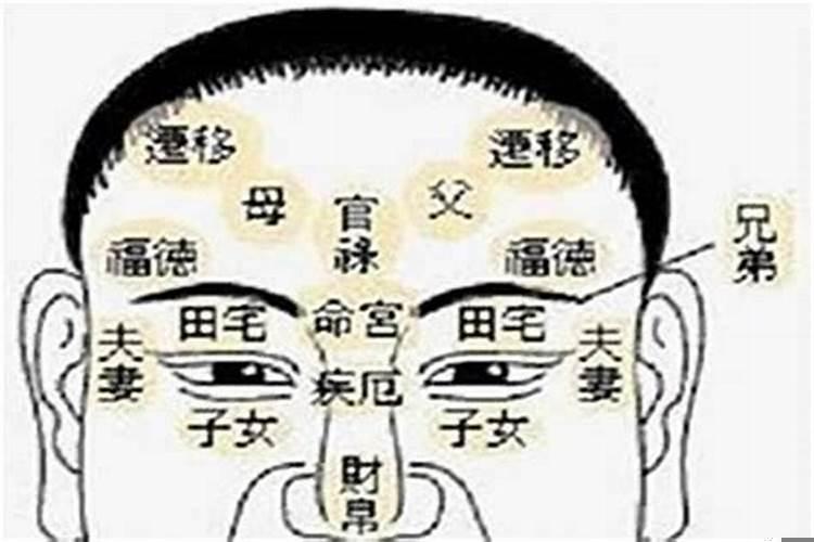男人有官运的面相